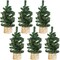 6 Pack Mini Artificial Christmas Trees Canadian Pine Tree (Green) 4"D x 4"W x 6"H